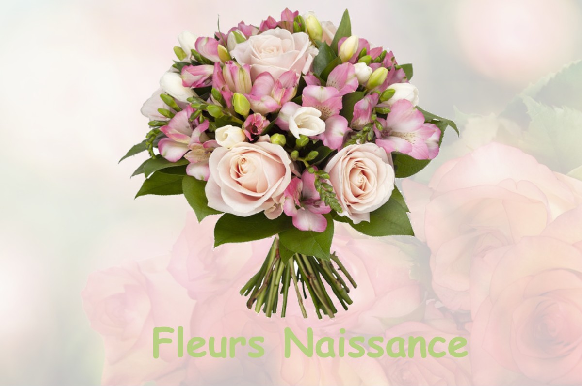 fleurs naissance BILLY-SUR-OISY