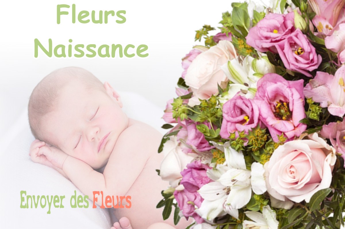 lIVRAISON FLEURS NAISSANCE à BILLY-SUR-OISY